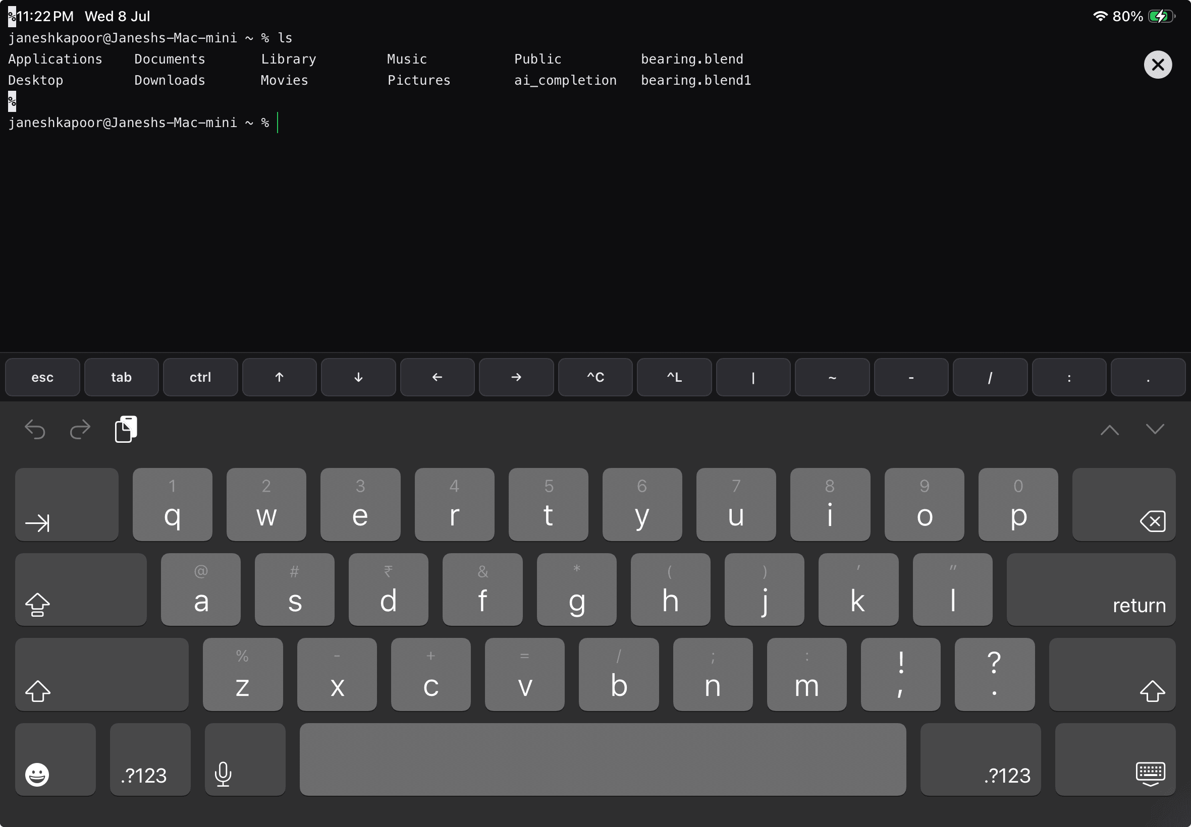 A live macOS terminal session running inside Servey on iPad, listing the home directory after an ls command