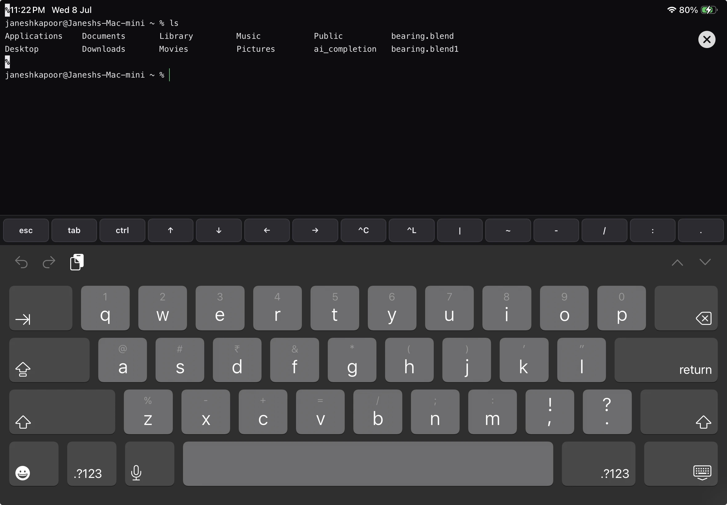 A real Mac terminal open on an iPad, reaching a Mac Mini's shell to supervise what is running.